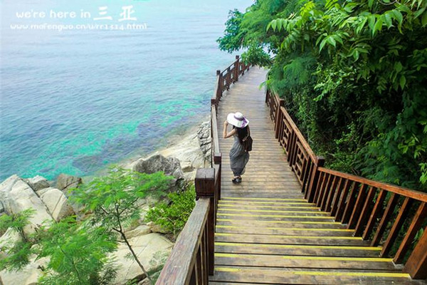 三亚五天四晚旅行团爱上海岛,三亚3天两晚够不够