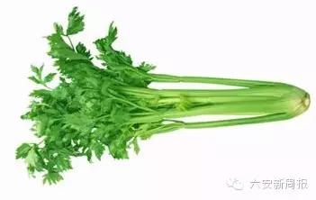 六安最新“野菜宝典”7种野菜，13种时令蔬菜，你都认识吗？