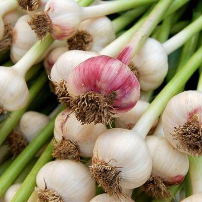 抗感冒的食物有哪些,专治感冒的十大食物