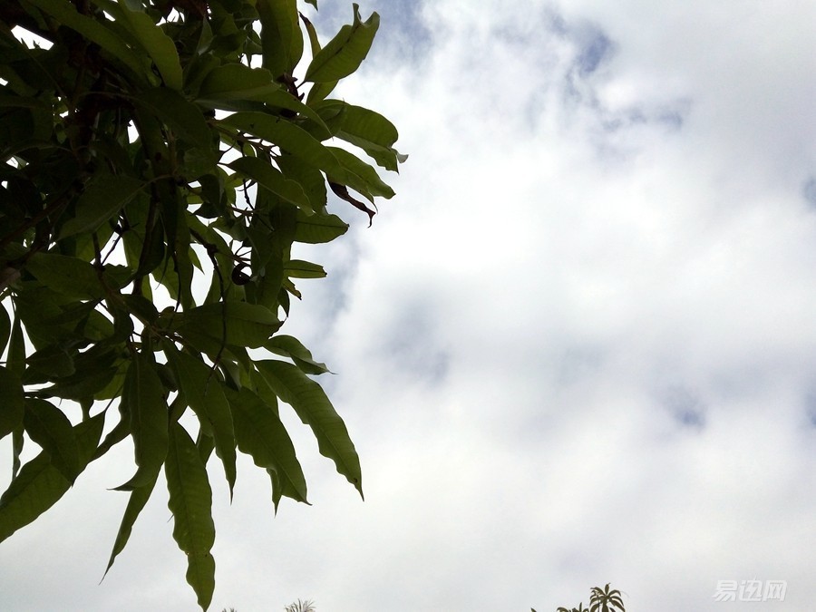 800块买个什么电脑好,800块买什么全新手机