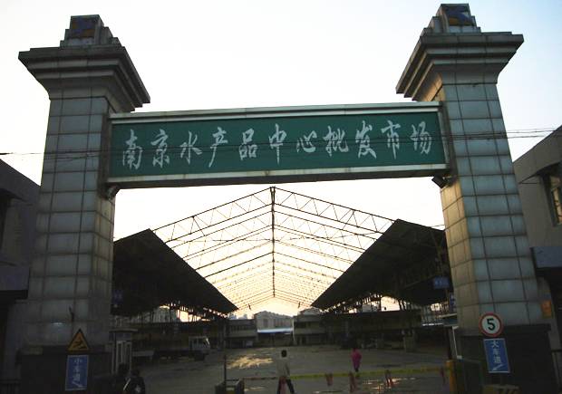 一个南京女生，用两年时间总结的最全南京生活手册，超实用！