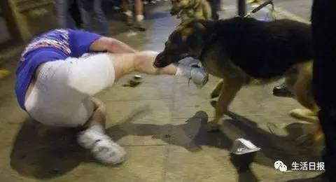 女子被自家宠物狗咬伤,女子被两只恶狗咬伤