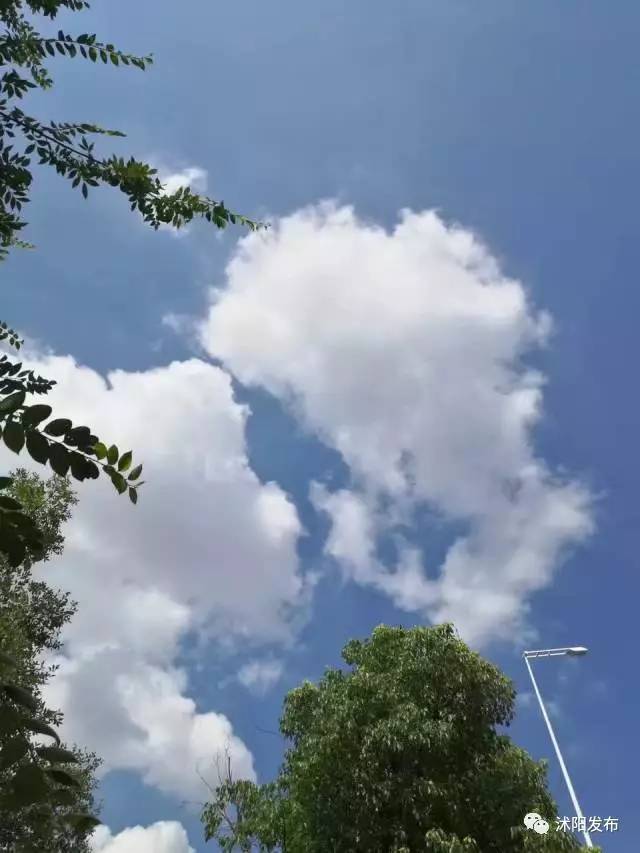 喏，送你一抹“沭阳蓝”……