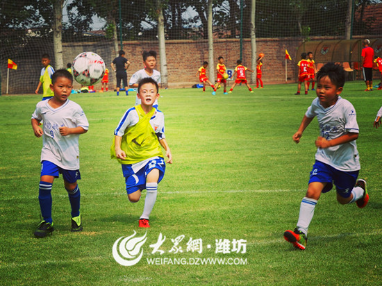 山东鲁能杯少儿足球比赛,2019年鲁能杯少儿足球