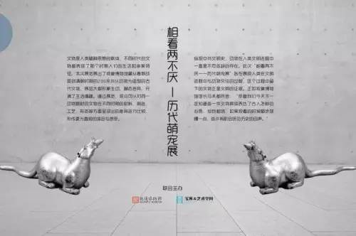 星河湾一楼入户,星河湾小区到万象城多远