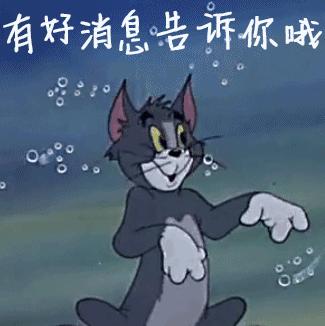 真好！沙埔镇滨海休闲小镇旅游总体规划通过专家评审