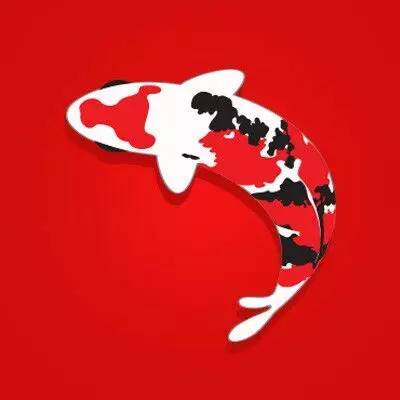 怎么判断锦鲤消化完了,怎么判断锦鲤胖还是吃撑了