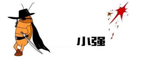 小强蟑螂怎么杀死,杀死蟑螂的小强