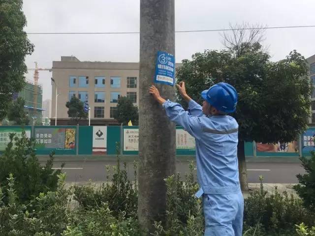 创文有你也有我,创文有我更精彩视频