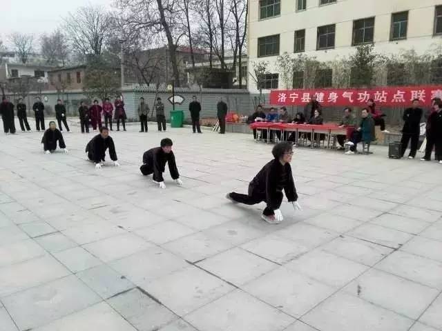 在洛阳我们身边举办的近百场活动，你参加过几次？为了健康，你得看看