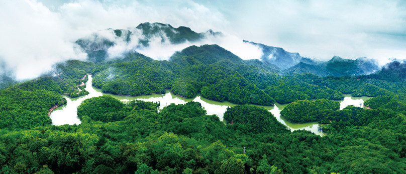 贵州值得一去的原生态村在哪里,贵州世界十大森林旅游胜地之一
