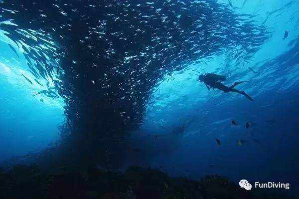 从入门级到朝圣级，船宿该怎么选？