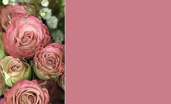 最好用的4支口红,最好用的6支口红