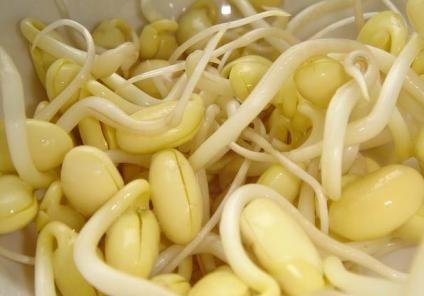 黄豆芽的营养和功效与作用,吃黄豆芽有什么好处和功效