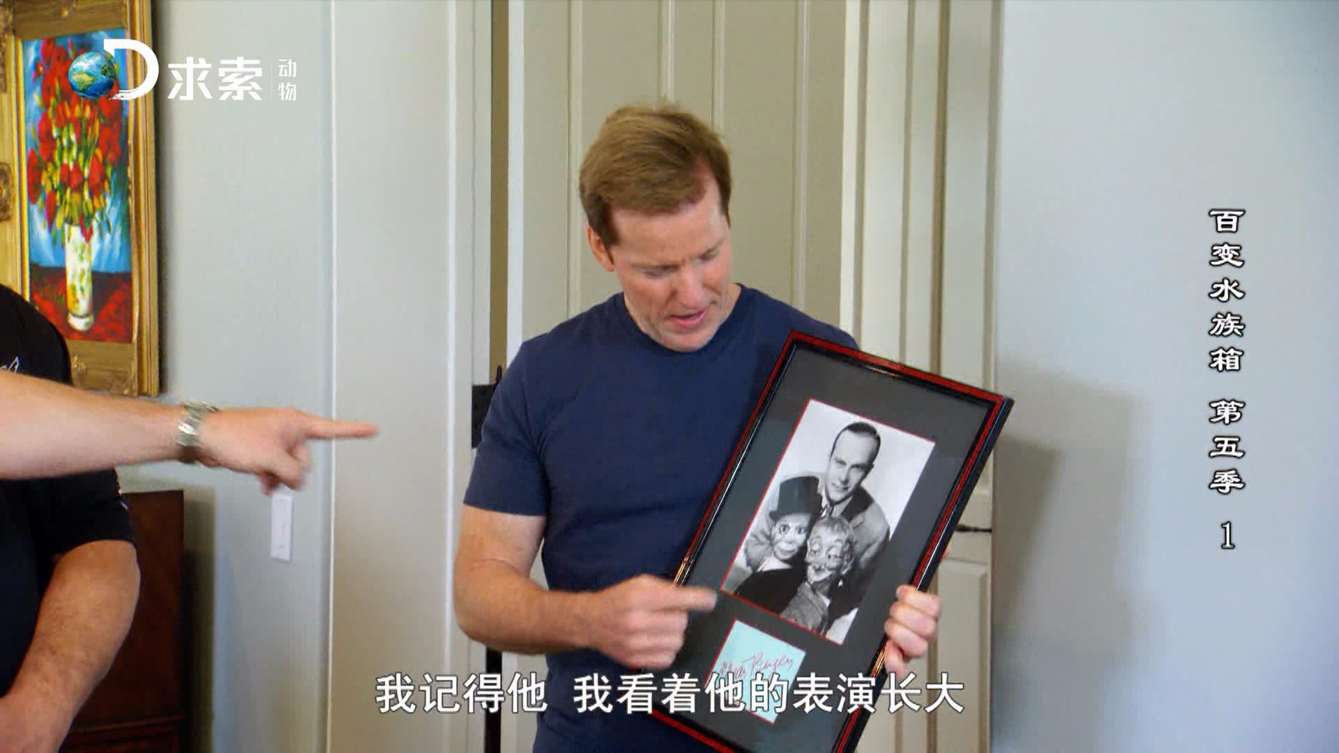 水族类多层鱼缸 (精美鱼缸水族箱)