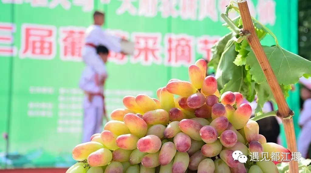 都江堰美景快乐之旅,都江堰特色旅游线路推荐