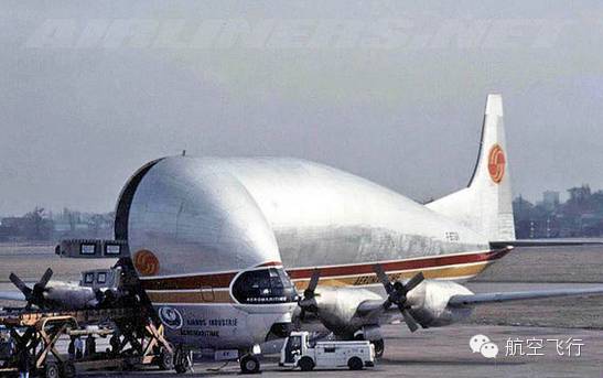 变异变形飞机,变异飞机鹦鹉