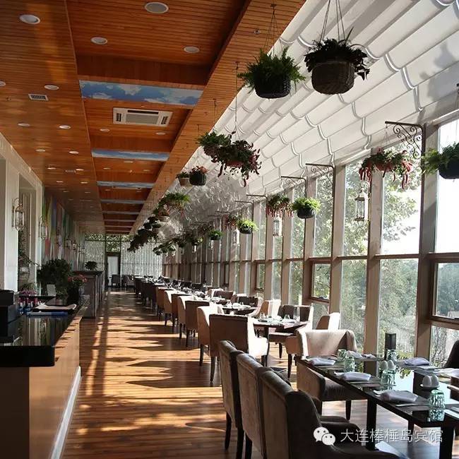 棒棰岛景区内用餐,棒棰岛游玩在哪儿吃饭