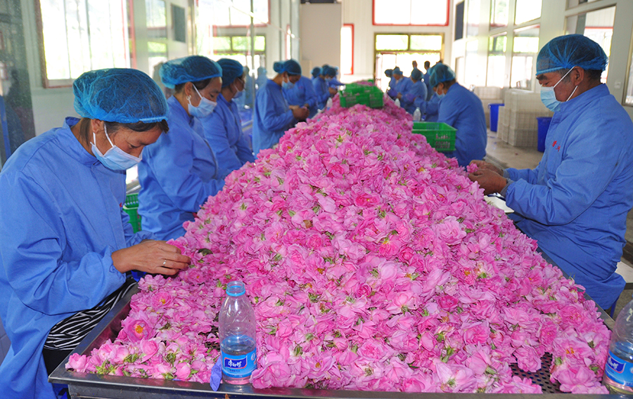 下足绣花功夫走活产业扶贫棋,下足绣花功夫提高扶贫质量