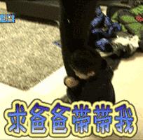 我让孩子甩掉纸尿裤，自主如厕超详细训练攻略！拿走不谢欧耶~