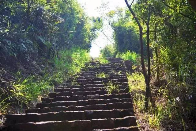 观音山暑期夏令营机构,观音山旅游攻略亲子游