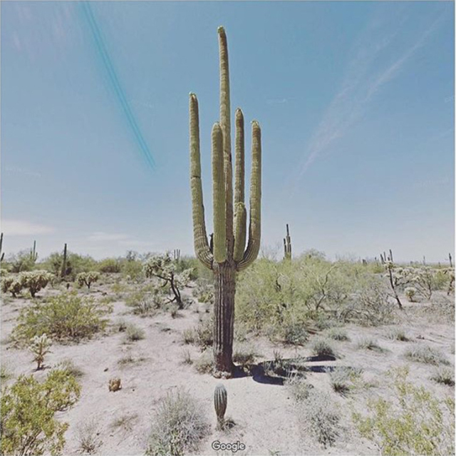 她宅在家里，却用27000张照片记录了与众不同的旅程