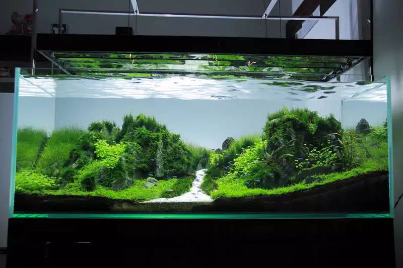 旅游时看到山川河流的感悟,旅游途中看到的景物