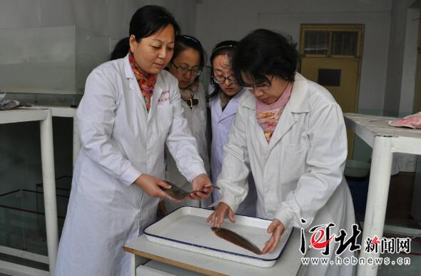 史秋梅：把养殖户的事当成自家的事