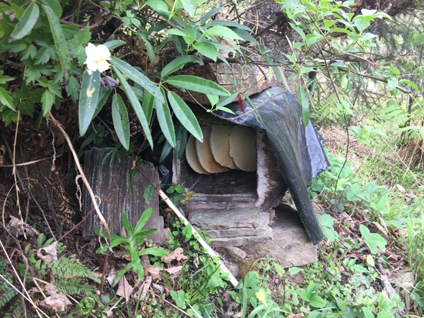 翼虎·山河·寻路胡焕庸线上的中国|玉龙县:电商上下求索