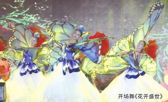 社区第三届文化艺术节文艺汇演,2018社区文化节活动