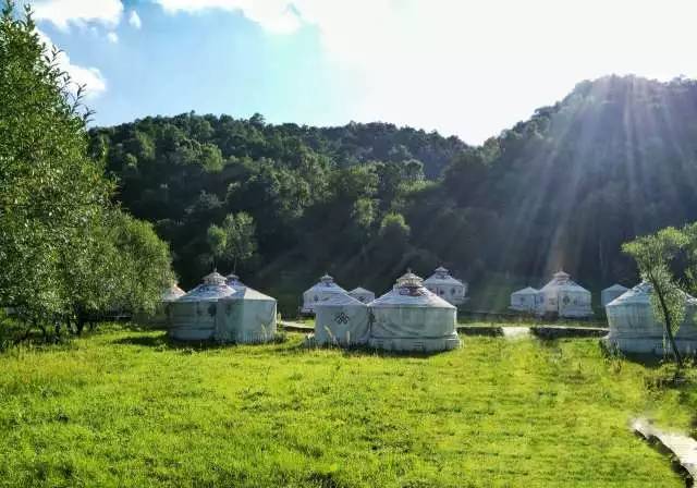 我的青春去旅游,我的青春我做主全集免费