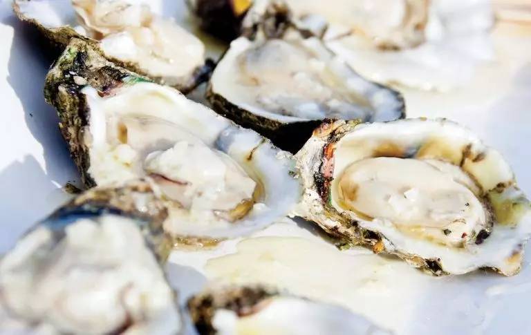 贝隆生蚝,贝隆生蚝和吉拉多生蚝哪种好