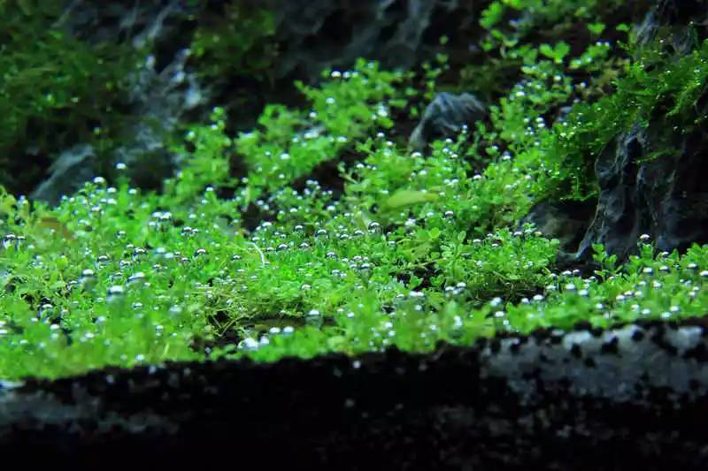 旅游时看到山川河流的感悟,旅游途中看到的景物