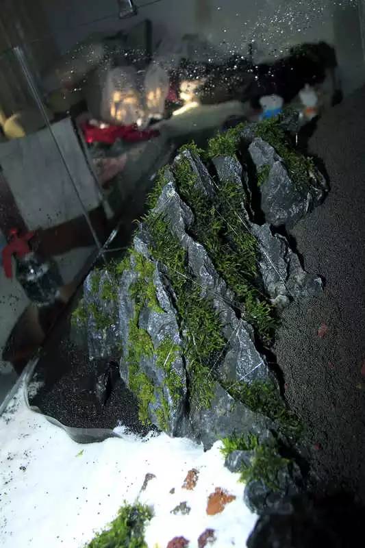 旅游时看到山川河流的感悟,旅游途中看到的景物