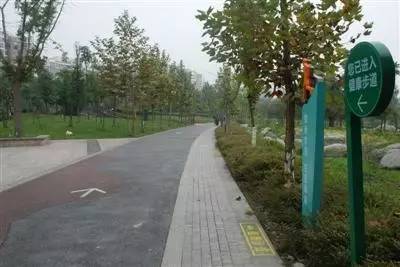 成都周边徒步健身绿道,成都绿道骑行公园
