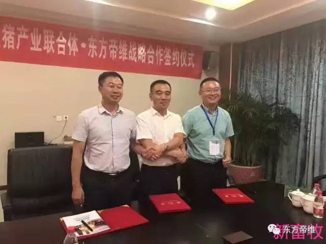 潜龙飞天——安徽生猪产业联合体采购联盟走进东方帝维成功启动并签订战略合作协议！