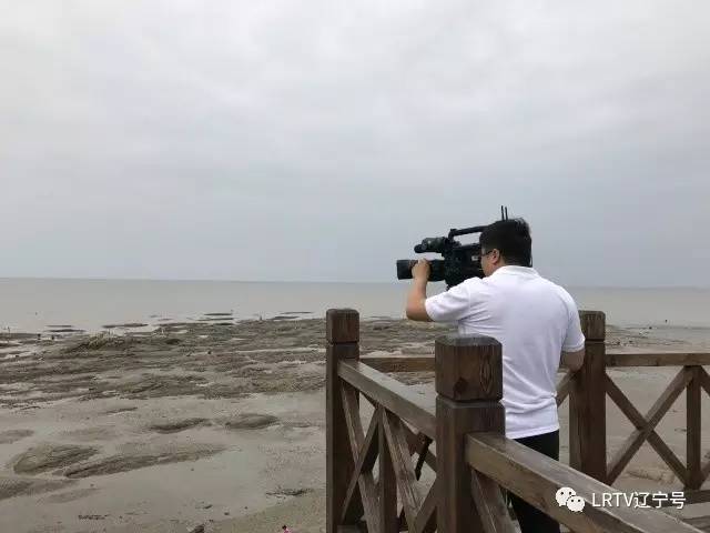 辽宁营口北海风景区,营口北海风景区之旅感受与收获