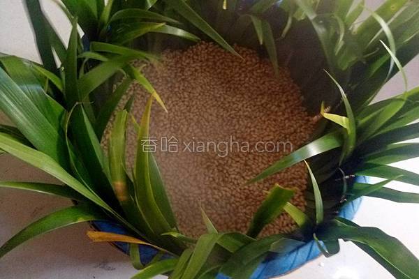 在家自做豆豉方法教程,怎样在家自制豆豉