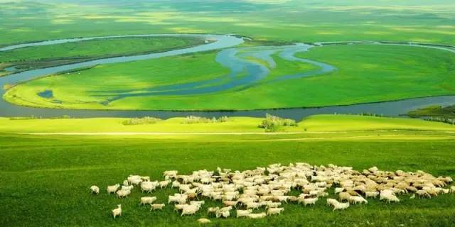 对不起，我去草原了，别再找我了……