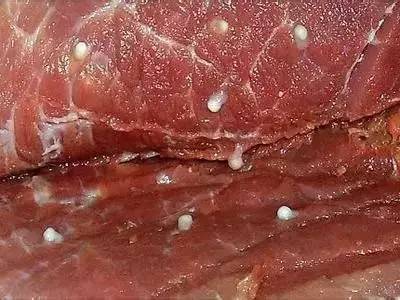 今朝上海｜永和大王、喜来稀肉相继被揭黑料，菜虫、疑似寄生虫横躺美食间，没想到网友的看法却截然相反！