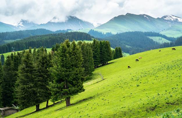 对不起，我去草原了，别再找我了……