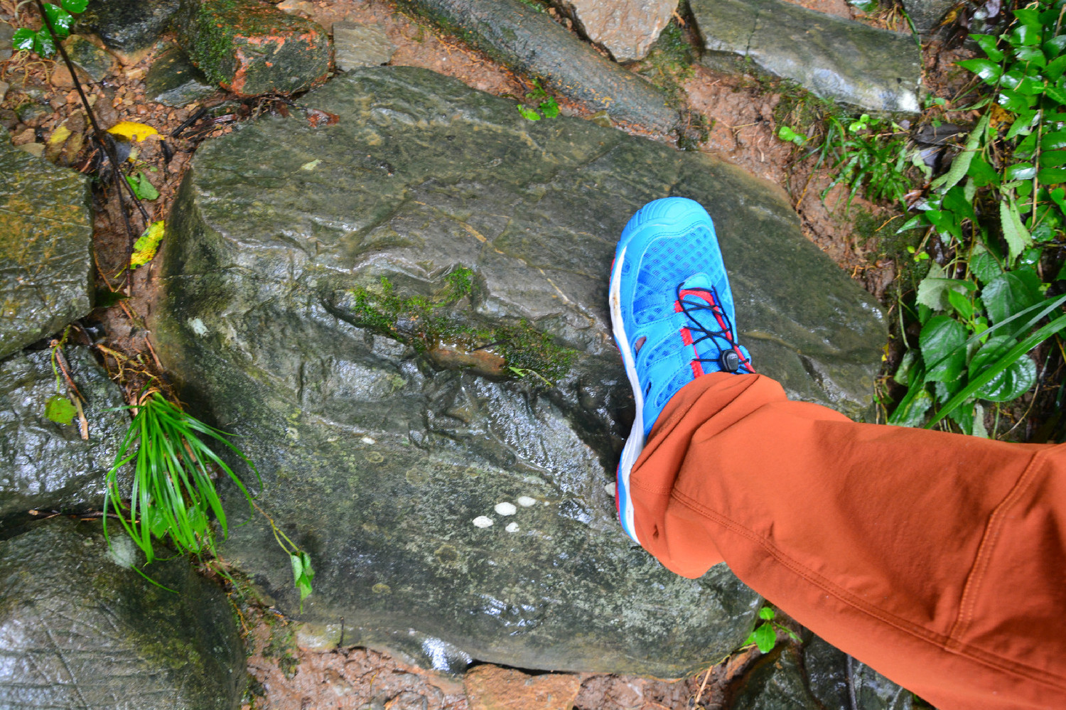 新款阿迪溯溪鞋测评,新款溯溪鞋涉水鞋