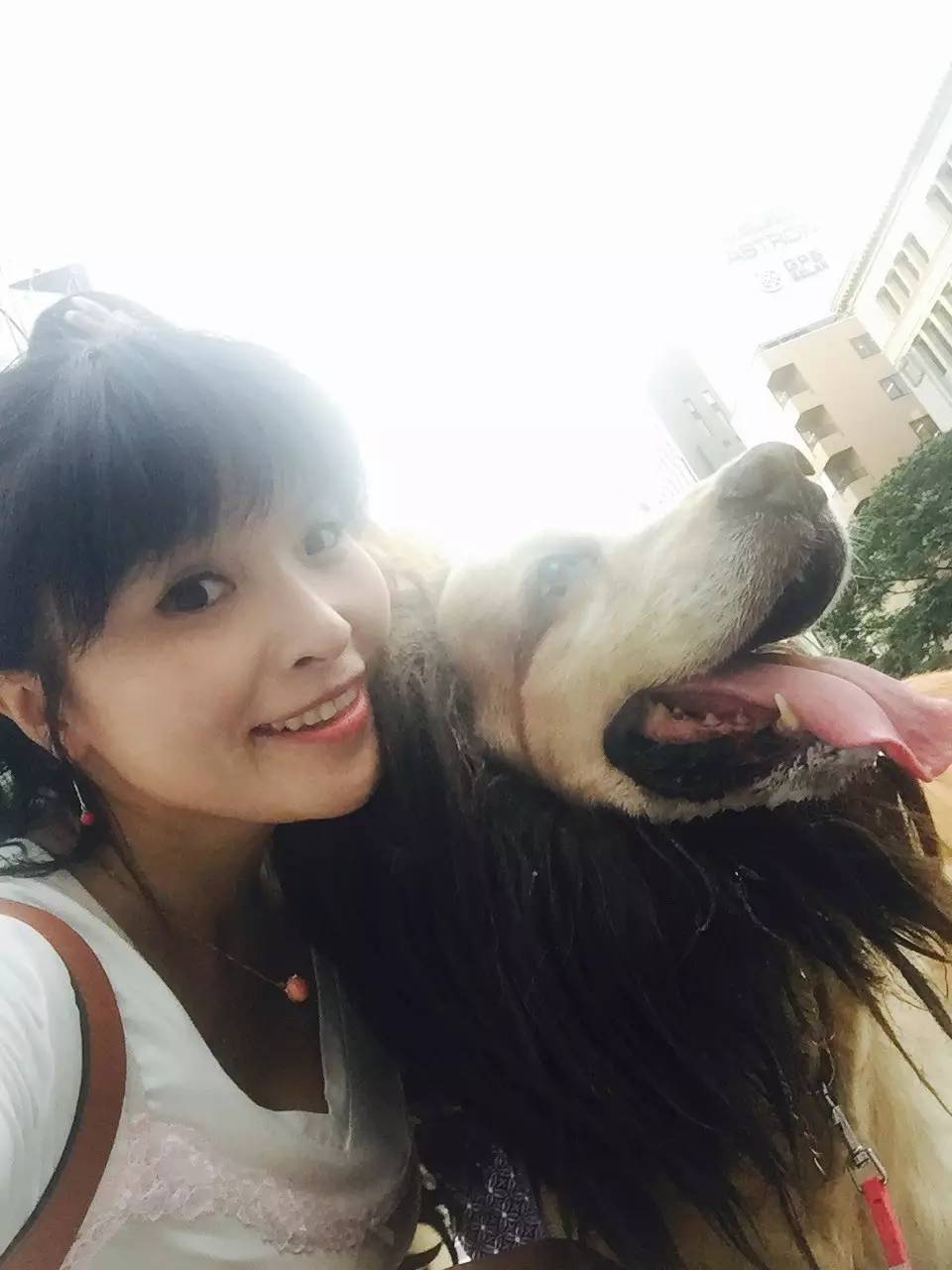 子桐品｜处女星奇幻漂流记（下）：日本街头寻宝记