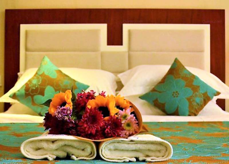 秦皇岛适合带狗去的地方,北戴河的民宿带狗的可以去吗