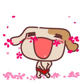 中国娱乐圈“三大巨头娃”优胜选手竟然是？！