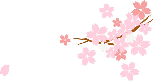 入门级留学申请干货留学小白必看,攻略必备干货知识分享