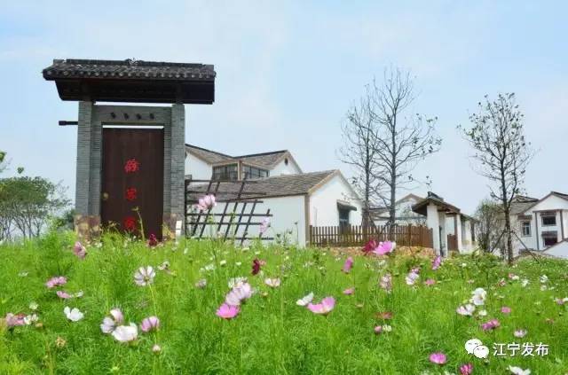 快看!这么完美的江宁,你还不来?