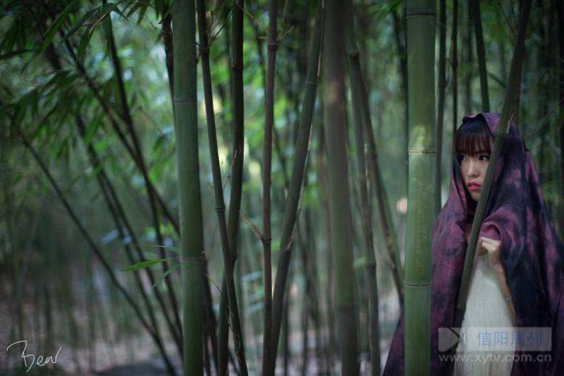 绔归煹娼囨絿,绔归煹娼囨絿鍥剧墖