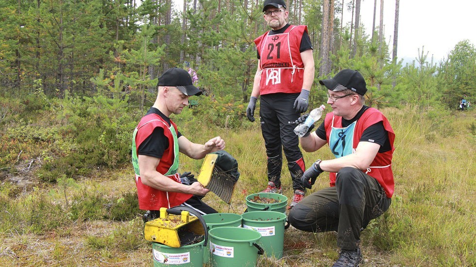 盘点外国人的奇葩比赛,盘点世界奇葩比赛