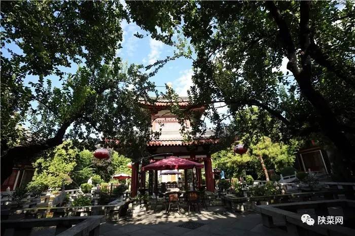 陕菜的发展历程,陕菜品牌动态图